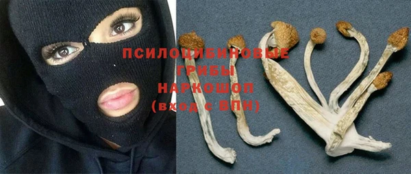 герыч Лагань