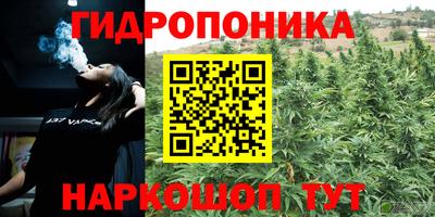 гашиш Гусев