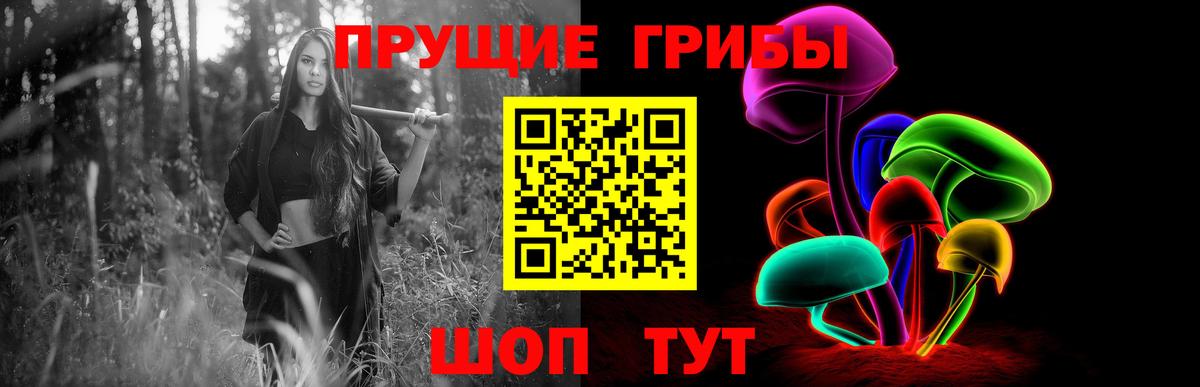 Галлюциногенные грибы Psilocybe  Вход с VPN  Оренбург 